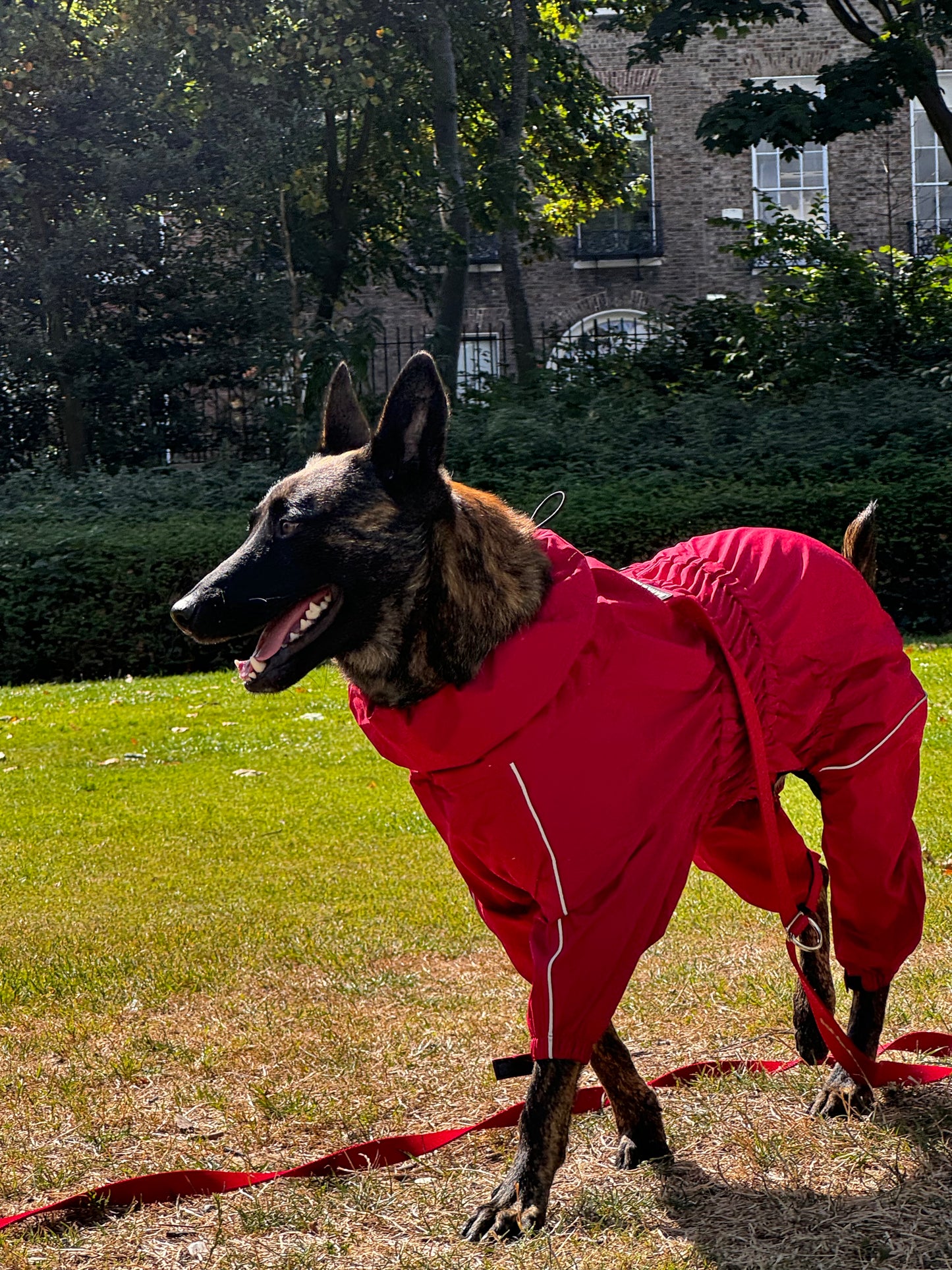 Sport Jacket - Energetic Red