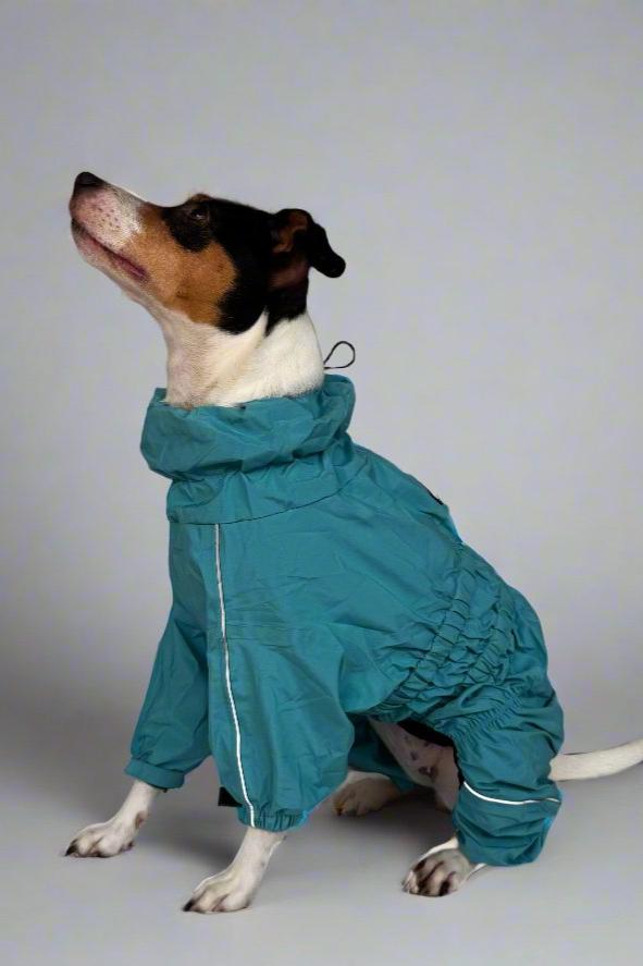 Sport Jacket - Calm Blue
