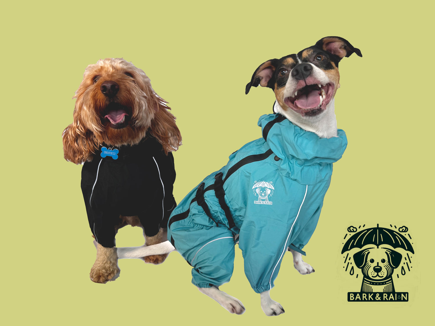 Bark&Rain Ambasador Dog wearing rain jackets