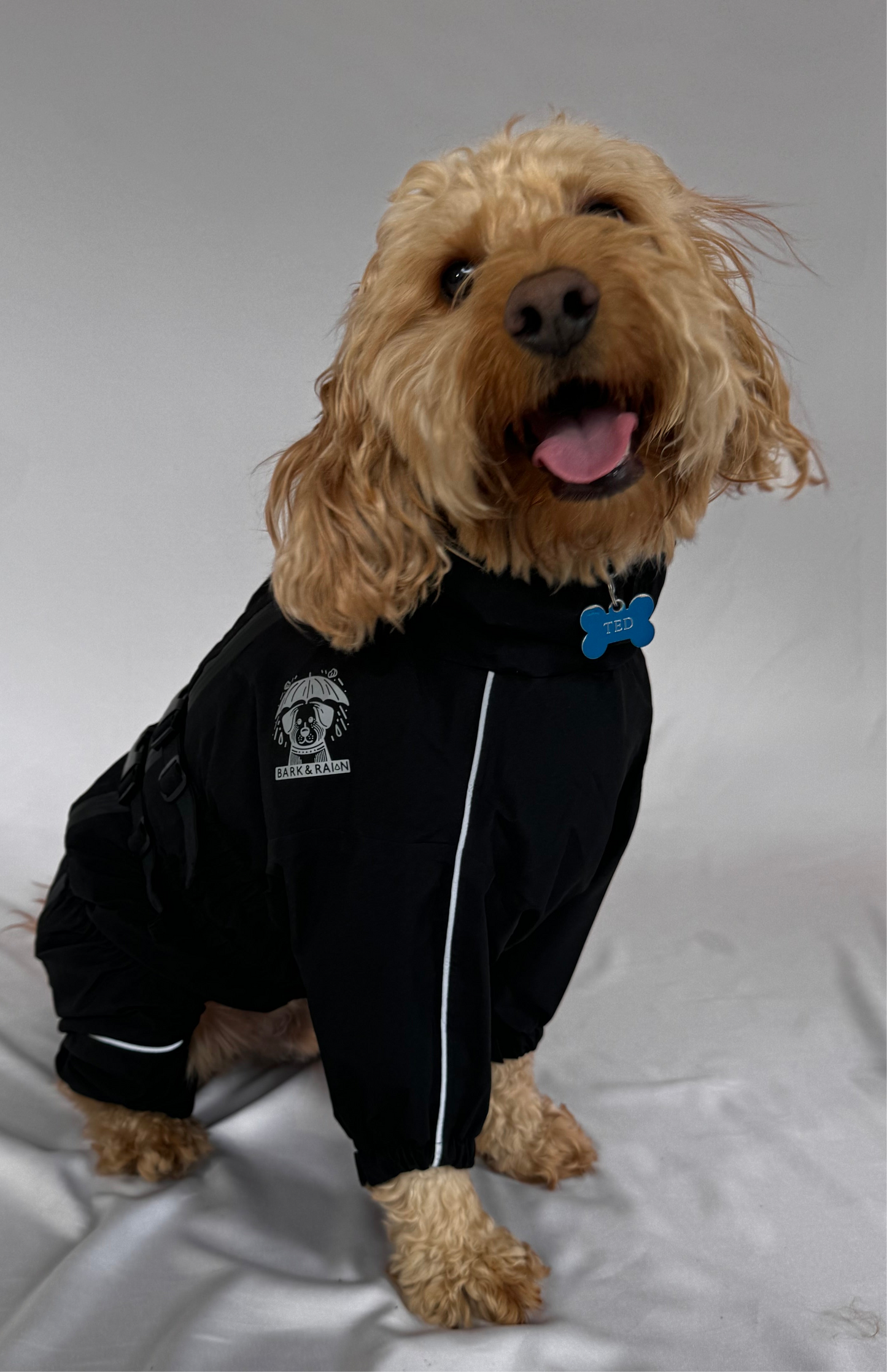 Ted in black Bark and Rain jacket
