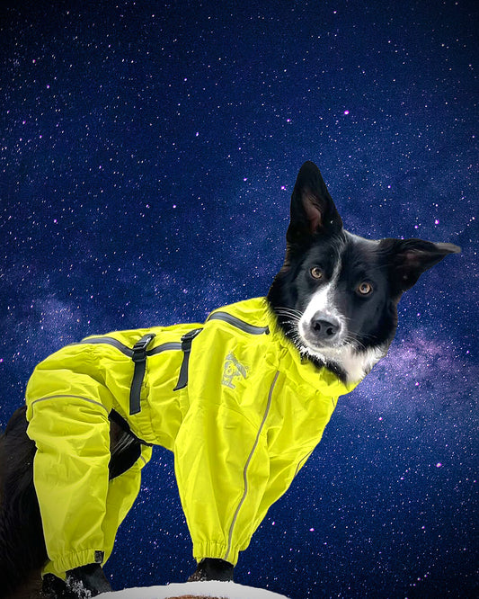 Sport Jacket - Playful Yellow
