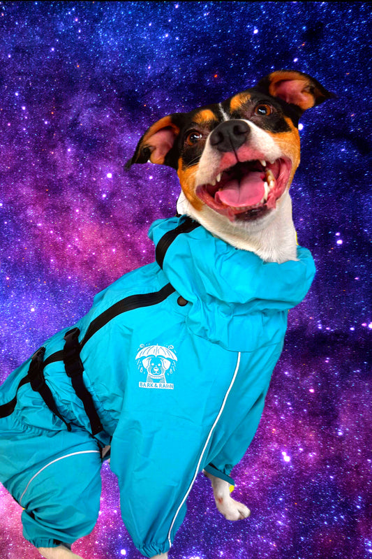 Sport Jacket - Calm Blue