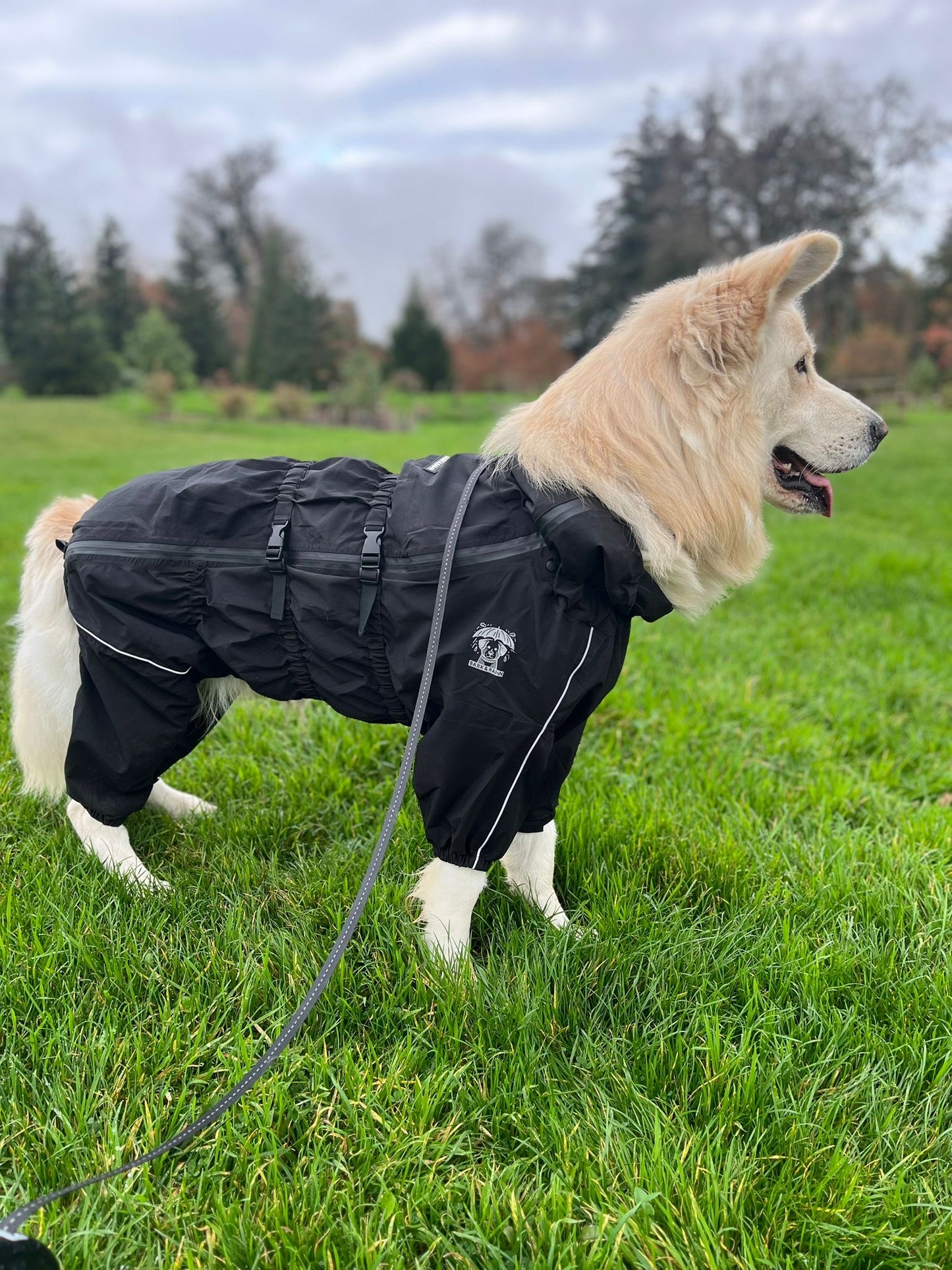 Sport Jacket - Bold Black